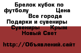 Брелок кубок по футболу Fifa 2018 › Цена ­ 399 - Все города Подарки и сувениры » Сувениры   . Крым,Новый Свет